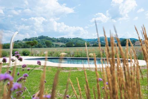 a pool in the middle of a field with flowers at Fonte Flavia in Urbania
