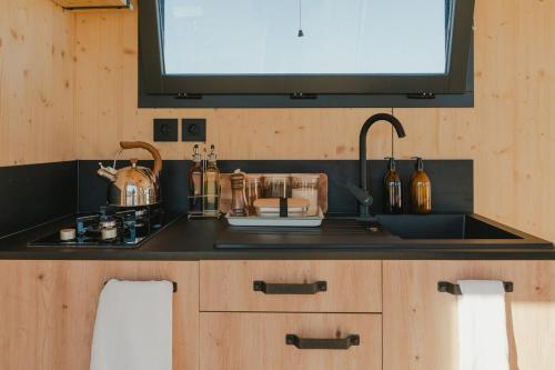 - un comptoir de cuisine avec évier et une télévision dans l'établissement Parcel Tiny House Brosse 1, pleine nature proche de Sancerre, à La Celle-sous-Gouzon
