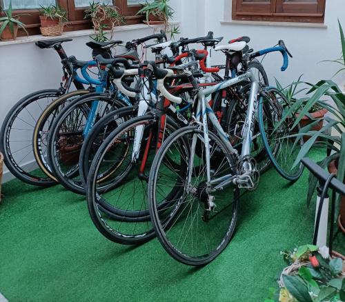 a group of bikes parked next to a wall at B&B Gi-Rosa Caltagirone in Caltagirone
