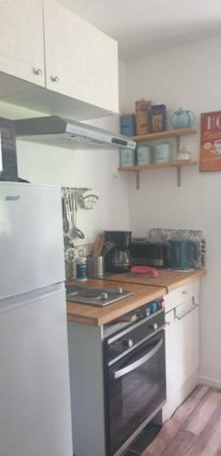 Il comprend une cuisine équipée d'un réfrigérateur et d'une cuisinière. four supérieur dans l'établissement La Chauvelière, à Saint-Valérien