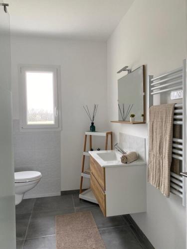 une salle de bain blanche avec un lavabo et des toilettes dans l'établissement Appartement avec terrasse, proche des 1000 étangs, chapelle Le Corbusier, à Roye