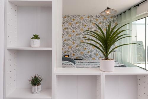 une pièce avec deux plantes en pot sur des étagères dans l'établissement Studio Proche Port Terrasse et Wifi, à Vannes