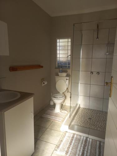 a bathroom with a toilet and a glass shower at House at Bethesda in Springs