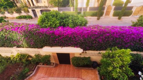 Oulad AkkouNo21 Loulan Villa21号别墅民宿的建筑物上紫色花朵的俯视图