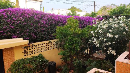 Oulad AkkouNo21 Loulan Villa21号别墅民宿的墙上花色紫色和白色的花园