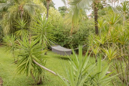 Taman di luar Hotel Villa Del Sol