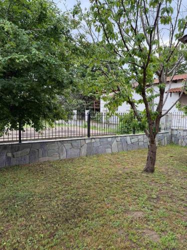 a tree in a field next to a fence at Elenora house in Nea Kalikratia