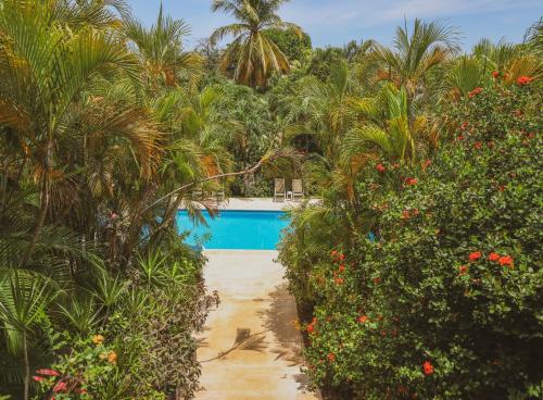 Kolam renang di atau dekat dengan Hotel Villa Del Sol