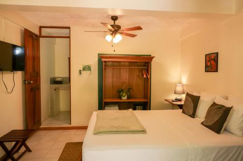 Katil atau katil-katil dalam bilik di Hotel Villa Del Sol