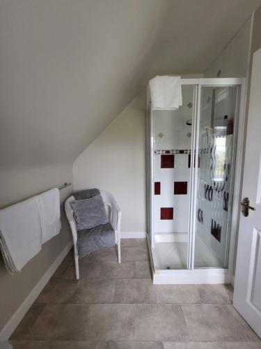 a attic bathroom with a shower and a chair at Ashbury House - Room Only in Keel