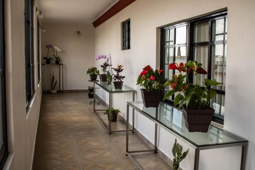 a hallway with potted plants on glass shelves at Mansion de los Abuelos in Atlacomulco de Fabela