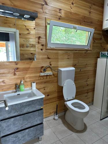 un bagno con un water, un lavandino e una finestra di River house Una a Kravlja