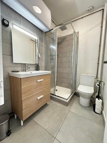 une salle de bain avec une douche, un lavabo et des toilettes dans l'établissement Le Quartier des Saveurs, proche des Halles Carnot, à Limoges