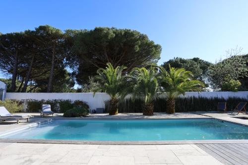 une piscine avec des palmiers et une clôture dans l'établissement Villa Tomtrousse, aux Portes