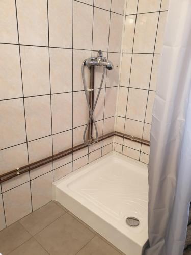 a shower in a tiled bathroom with a sink at Pensiunea Dyana in Moieciu de Jos