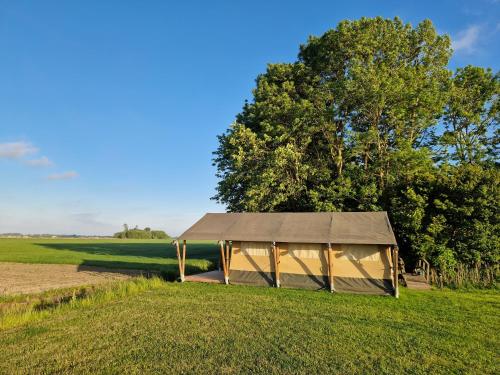 a tent in a field next to a tree at Glamping Safaritent 4 persoons in Hindeloopen