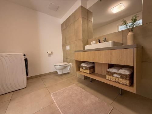 a bathroom with a white toilet and a sink at Danube Hills in Krems an der Donau