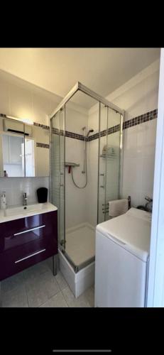 une salle de bain avec une douche, des toilettes et un lavabo dans l'établissement Appartement Favière-plage, Piscine-Terrain de tennis-Foot, à Bormes-les-Mimosas