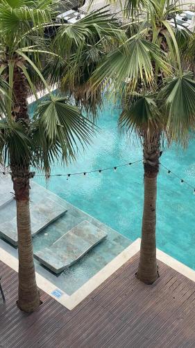 two palm trees in front of a swimming pool at Hotel Ibiza in Golem