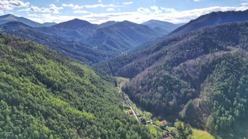 an aerial view of a valley in the mountains at Chata pri Kaštieli in Necpaly