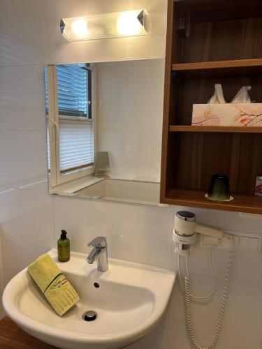 Koupelna v ubytování "NATURE erLeben" Appartement & Komfortzimmer