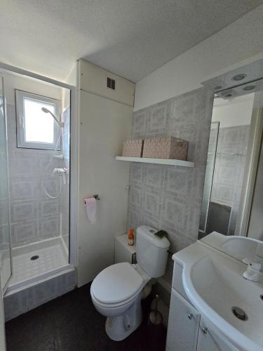une salle de bain avec toilettes, douche et lavabo dans l'établissement Les Bartavelles, à Allemont