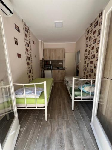 Η κουζίνα ή μικρή κουζίνα στο Todevski Apartment