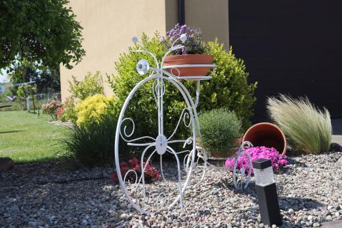 a garden with a plant stand in a yard at Pokoje Goscinne MNICH in Przewłoka