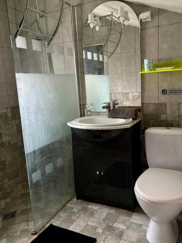 a bathroom with a sink and a toilet and a shower at Maison à la campagne Les quatre vents in Saint-Martin-dʼAbbat