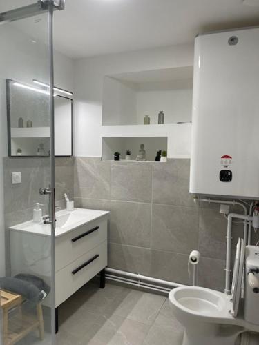 une salle de bain avec une douche, un lavabo et des toilettes dans l'établissement Apartment in Castet, à Castet