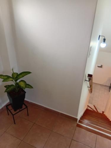 Imagine din galeria proprietății Departamento Casilda în Neuquén