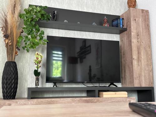 a entertainment center with a flat screen tv at Haus Heiken Apartment Lavendel in Altenburg