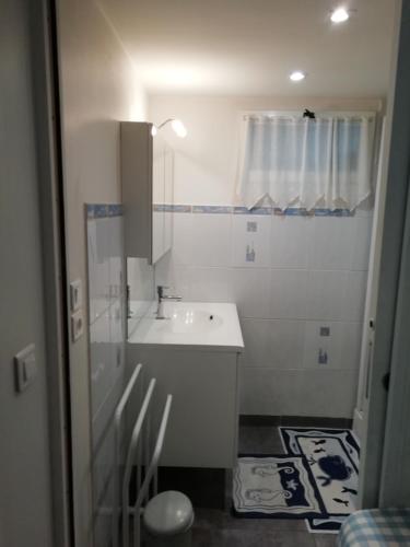 une salle de bain blanche avec un lavabo et une douche dans l'établissement Studio 20m2, à La Celle-sous-Gouzon