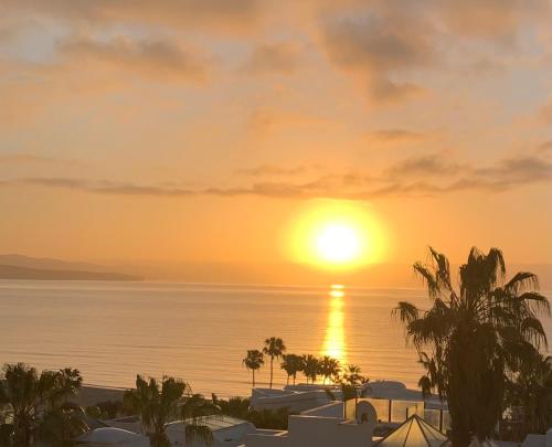 Welooveyou Meraviglia