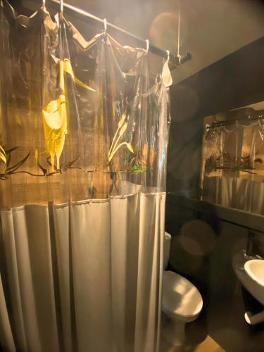 a bathroom with a shower curtain and a toilet at MEC Office Hostel in Niterói