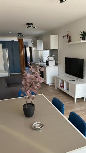 a living room with a table with a plant on it at Anton Court in Xlendi