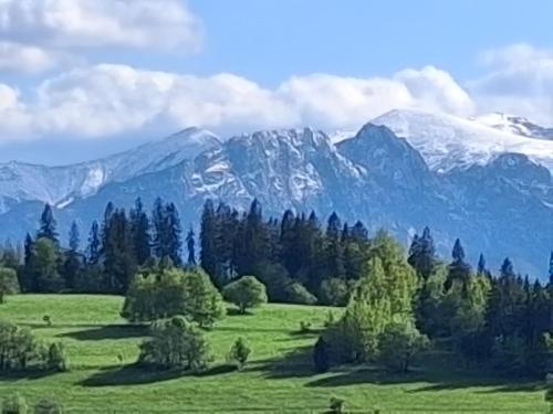 a snow covered mountain in a field with trees at Dom z widokiem na Wierchy - panorama na Tatry - Traditional folk house in Gliczarów Górny