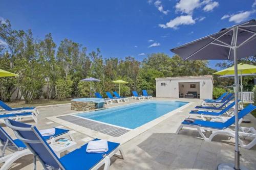 une piscine avec des chaises bleues et des parasols dans l'établissement Appartement familial à Pietracorbara avec piscine, à Pietracorbara
