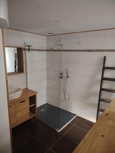 une salle de bain avec une douche avec une porte vitrée dans l'établissement La Casa Beaujolaise, à Charnay