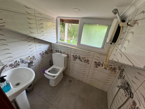 a small bathroom with a toilet and a sink at Fethiye Çiftlik Villa in Fethiye
