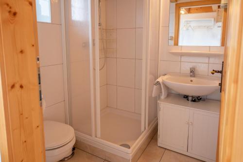 a bathroom with a shower and a toilet and a sink at Almhäuser Filzsteinalpe Almhaus 198 in Krimml