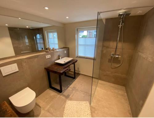 a bathroom with a shower and a toilet and a sink at Ferienhaus Fachwerk Sanct Peter in Bad Neuenahr-Ahrweiler