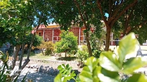 a house with trees in front of it at B&B Salaju in Castelsardo