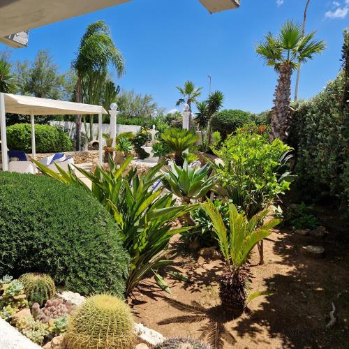 Gallery image of Angolo di Paradiso in Favignana