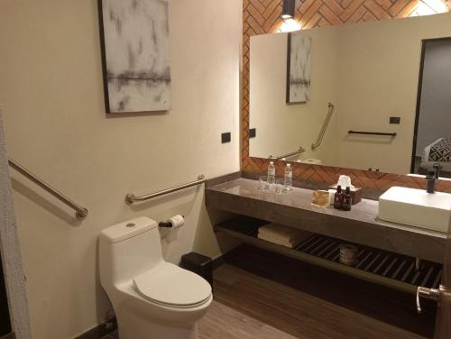 a bathroom with a toilet and a sink and a mirror at Esplendor by Wyndham San Luis Potosi in San Luis Potosí