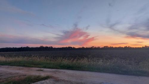 a field with a sunset in the sky with clouds at Villetta della Pace nel cuore del Salento in Torre Santa Susanna