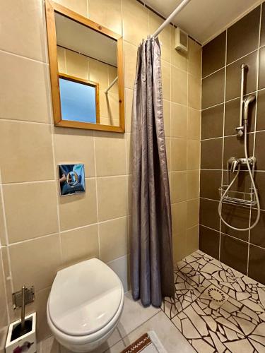 a bathroom with a toilet and a shower at LA GRIOTTE 2 & Spa&Piscine in Pennedepie