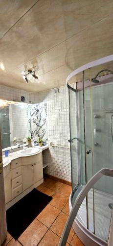 une salle de bain avec douche et lavabo dans l'établissement Maison calme en bord de rivière, à Guiche