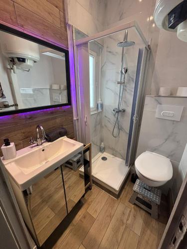 une salle de bain avec une douche, un lavabo et des toilettes dans l'établissement Chez Odette, à Grenoble