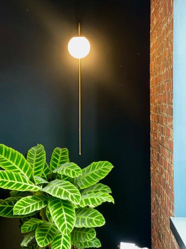 a light with a green plant next to a wall at La Parenthèse - Peaceful and family-friendly cottage in Bastogne in Bastogne